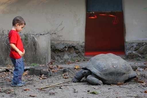 Guido Fuà – Sguardi Collaterali