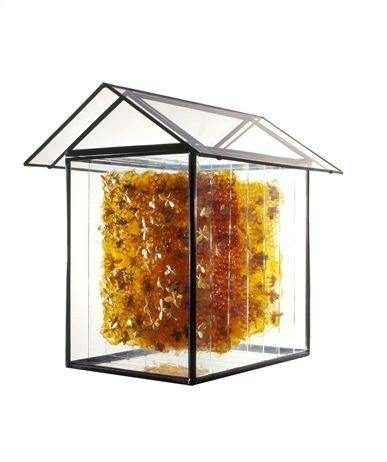 Jessica R. Carroll Jessica R. Carroll