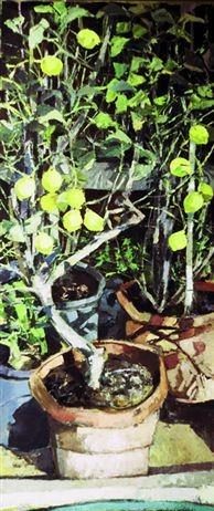 Letizia Fornasieri – Qui è scritto il tuo nome