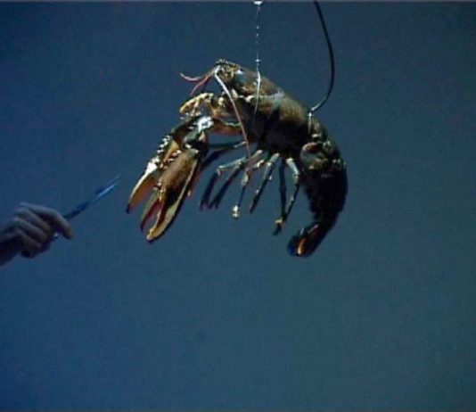 Living Room – Rodrigo Garcia