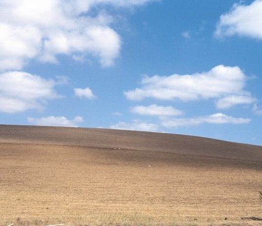 Lorella Forte Lorella Forte