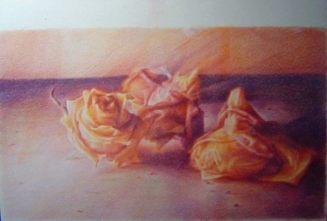 Luisa Garzonio – Volti e altre stelle