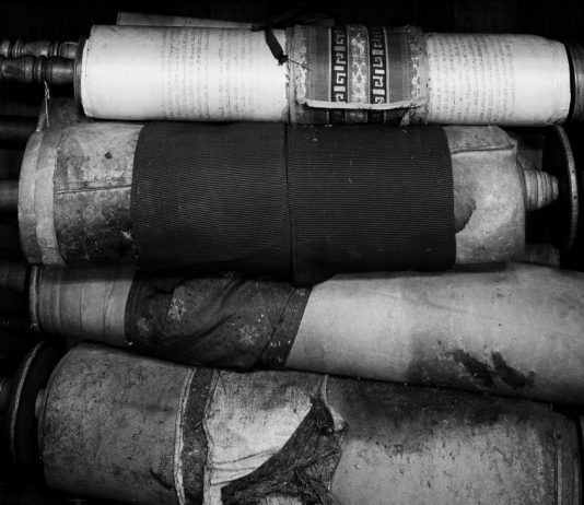 Manfredi Bagnai Focacci – Torah Immagini Manfredi Bagnai Focacci – Torah Immagini