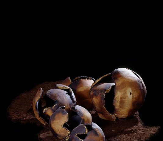 Maria Cristina Carlini – Terre