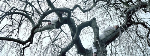 Maria Friberg – Alongside us