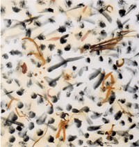 Maria Laura Riccobono – Cromatismi vegetali Maria Laura Riccobono – Cromatismi vegetali