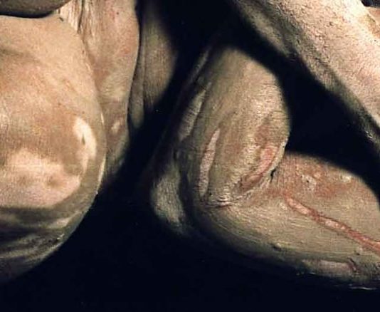 Marilena Sassi – Passione