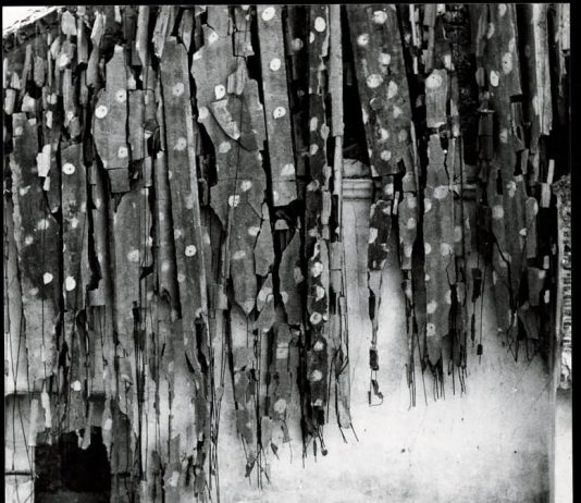 Mario Finazzi – Fotografie