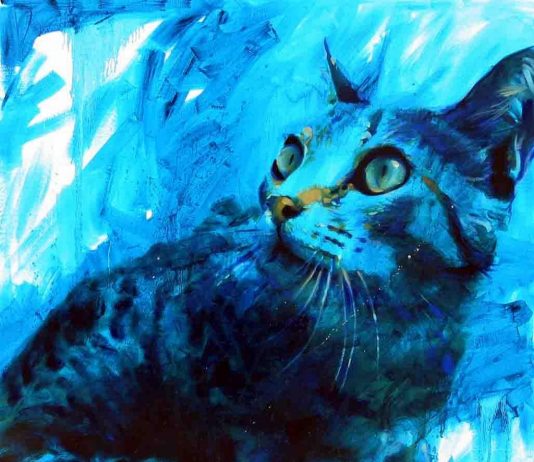 Mario Vespasiani – Novevite