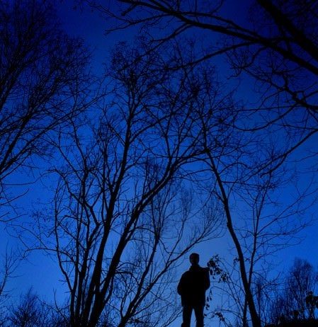 Massimo Mion – Get Fuzzy