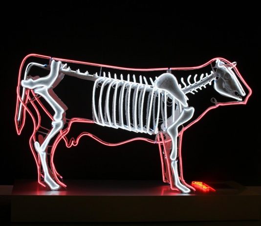 Maurizio Orrico – Animals