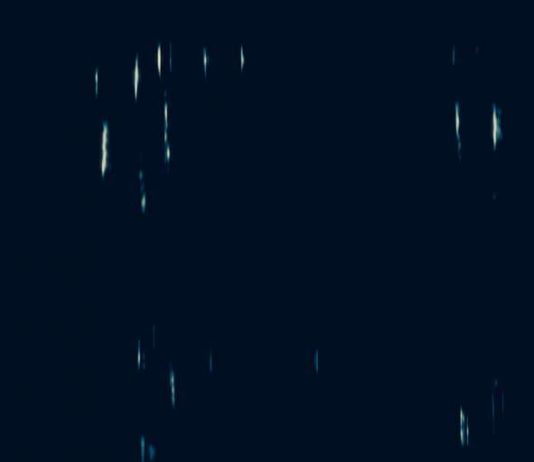 Mayoor – Black Peacock Mayoor – Black Peacock