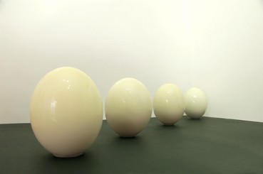 Moio&Sivelli – Still life in it!