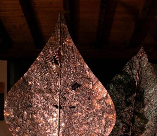 Nicola Zamboni / Sara Bolzani Nicola Zamboni / Sara Bolzani