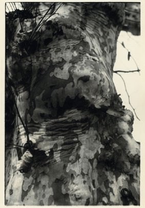 Paola Mongelli – Anima e corpo