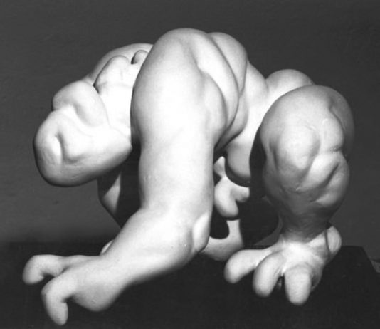 Paola Ravasio – Grovigli