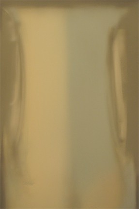 Paolo Icaro / Claudio Olivieri