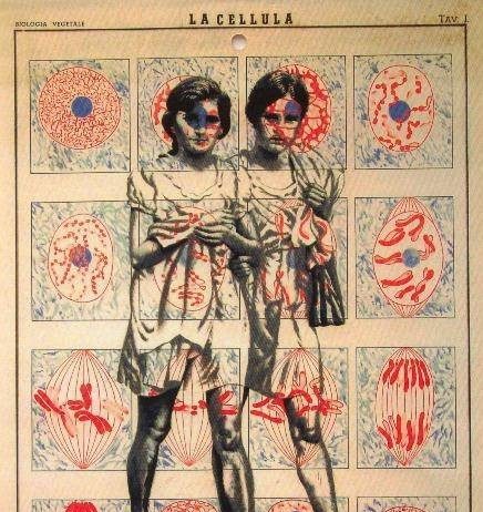 Paul Harbutt – Memories