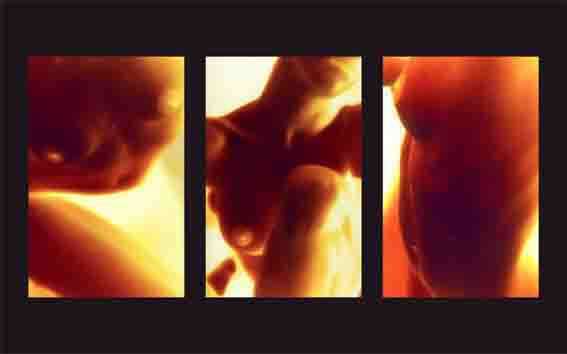 Peo Vertamy – Balla per mehttps://www.exibart.com/repository/media/eventi/2005/10/peo-vertamy-8211-balla-per-me.jpg