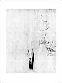 Pietro Bologna – Di bianco silenzio