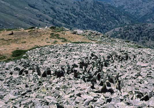 Richard Long / Giuseppe Penone