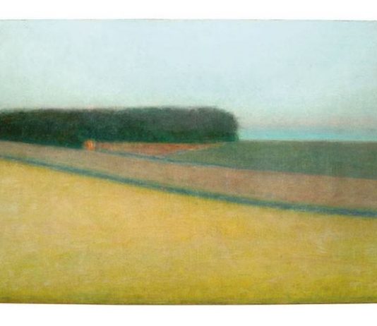 Robert Bosisio – Oltre