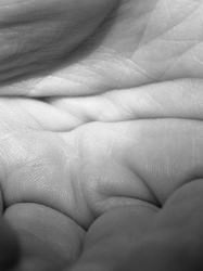 Samuela Segato – Scorporazione