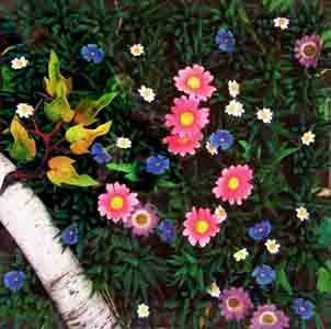 Scorci di natura: elementi di terra e di mare