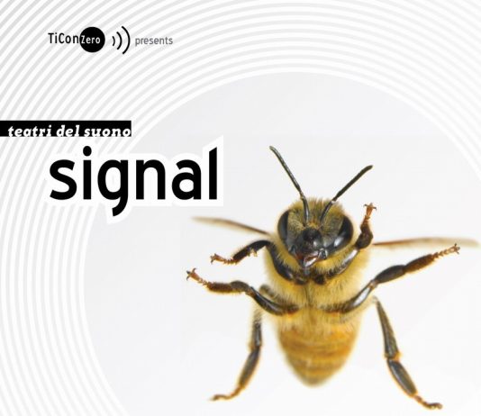 Signal/segnali video