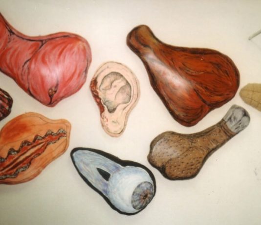 Simonetta Perlini – Plastic-Eyes