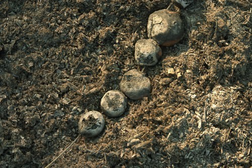 Site Specific #2 – Elisabetta Benassi