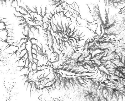 Stefano Teglia – Il segno è la ferita (di disegni e spaesamenti)