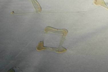 Stefano Trappolini – Tutto il cielo possibile