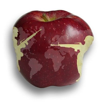 The brain project 2006