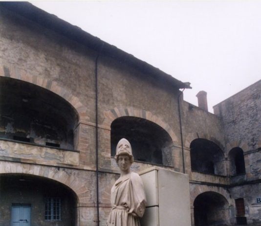 The Five Rings The Five Rings