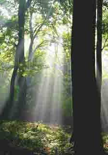 Thomas Ruff – The grammar of photography