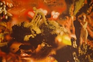 Tutti i sensi dell’arte