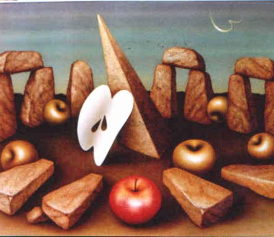 Vanni Viviani – La Continuità dei Sensi Vanni Viviani – La Continuità dei Sensi