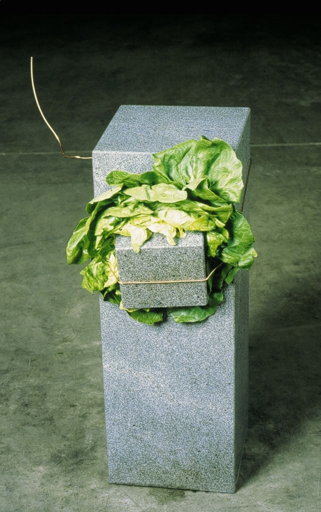 Via del Sale 2006https://www.exibart.com/repository/media/eventi/2005/10/via-del-sale-2006.jpg