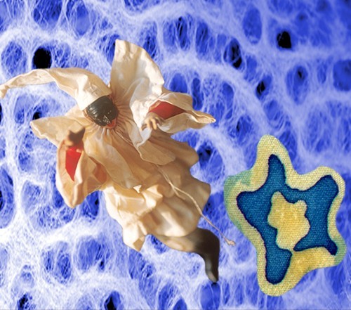 Vincenzo Montella – Vola, vola