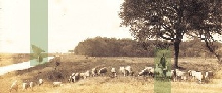 L’agro pisano e le bonifiche