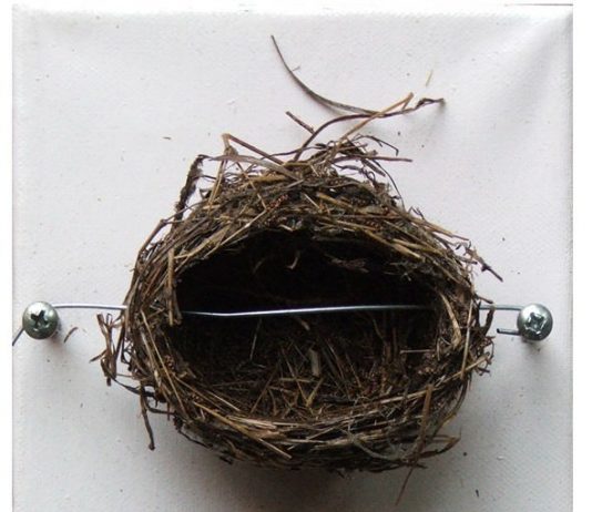 Alessandro Ceni – Dimore