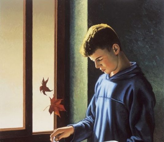 Carlo Bertocci – Finestre