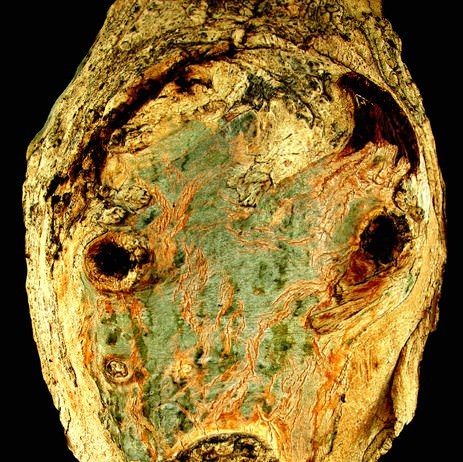 Claude Mollard – Gli «origènes» Claude Mollard – Gli «origènes»