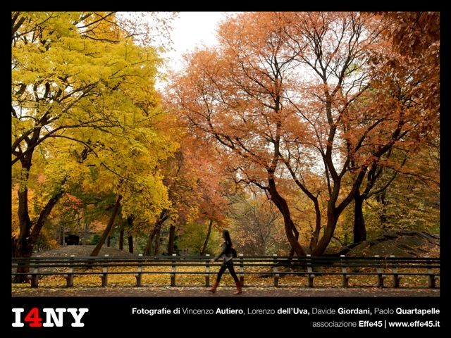 Effe45 – I 4 New Yorkhttps://www.exibart.com/repository/media/eventi/2005/12/effe45-–-i-4-new-york.jpg