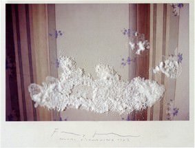 Franco Guerzoni – Paesaggi in polvere
