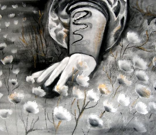 Paola Lucani – …La profondità della superficie…