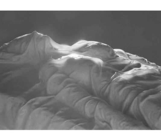 Raffaella Corcione – La Sindone Partenopea