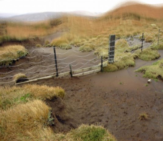 Semiconductor + son:DA – Platform # 1