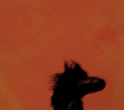 TatianaToi. Circa un cavallo
